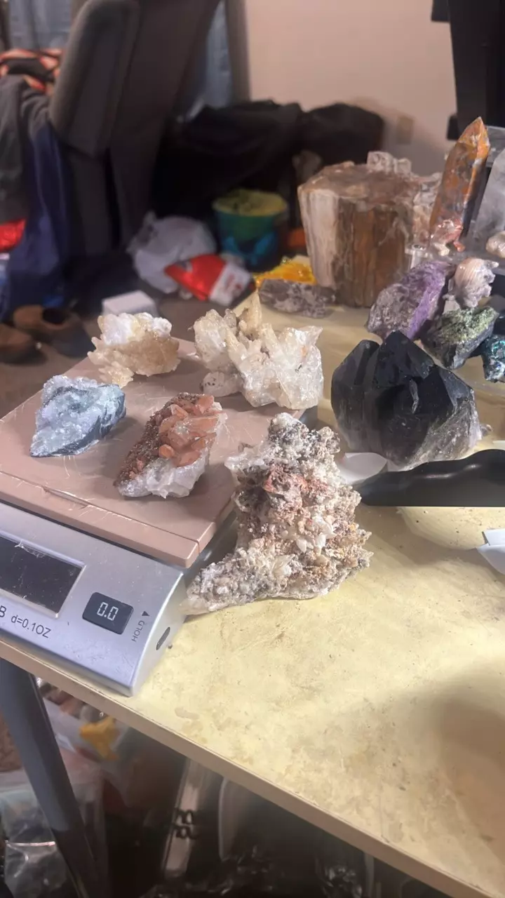 Three new arrivals and more show