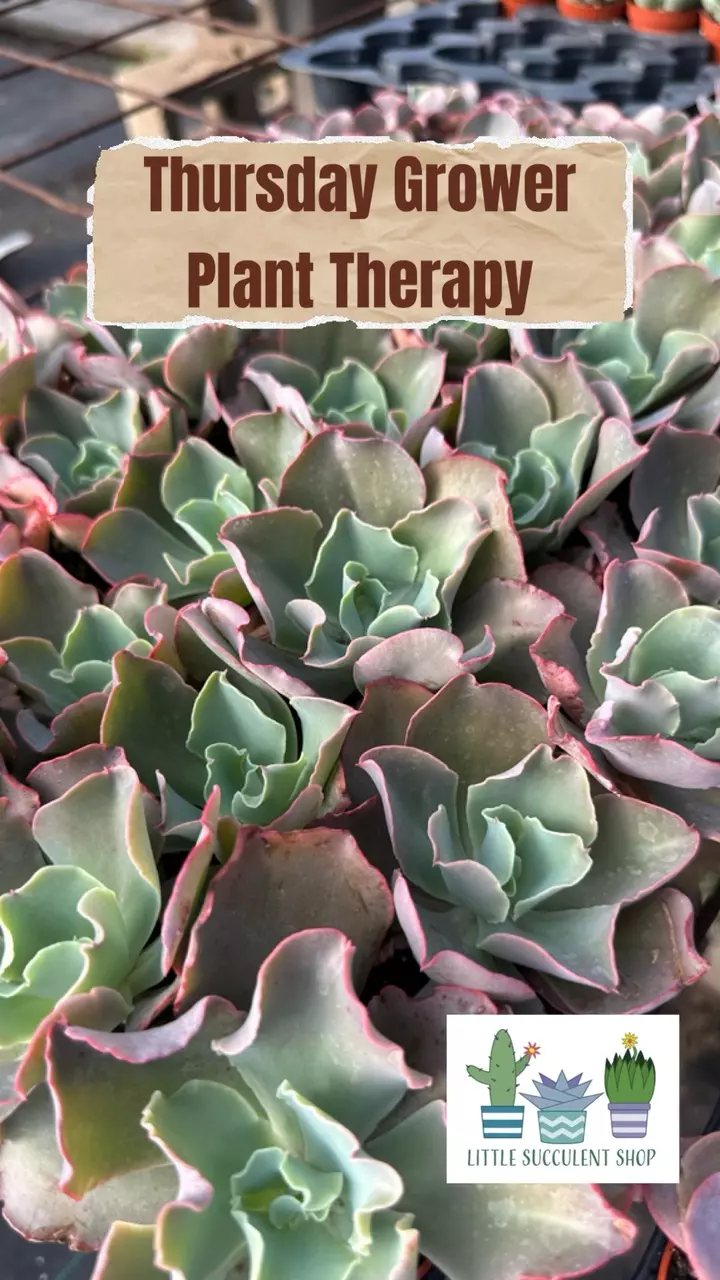 Grower’s greenhouses… come with me!