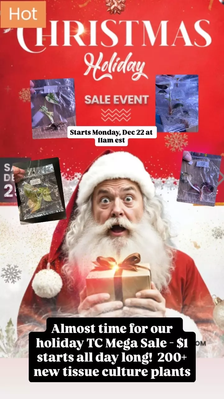 TC $1 Start Holiday Sale