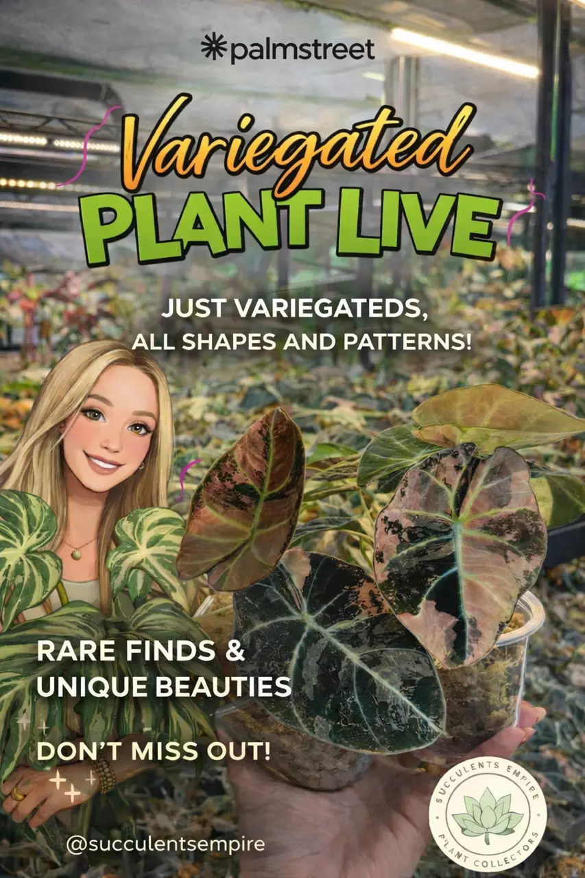• New Plants LIVE ✨Amazing giveaways!
