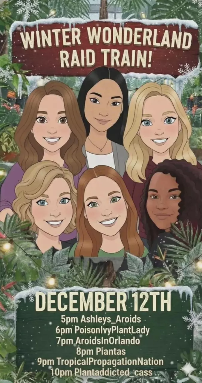 Winter Wonderland Raid Train