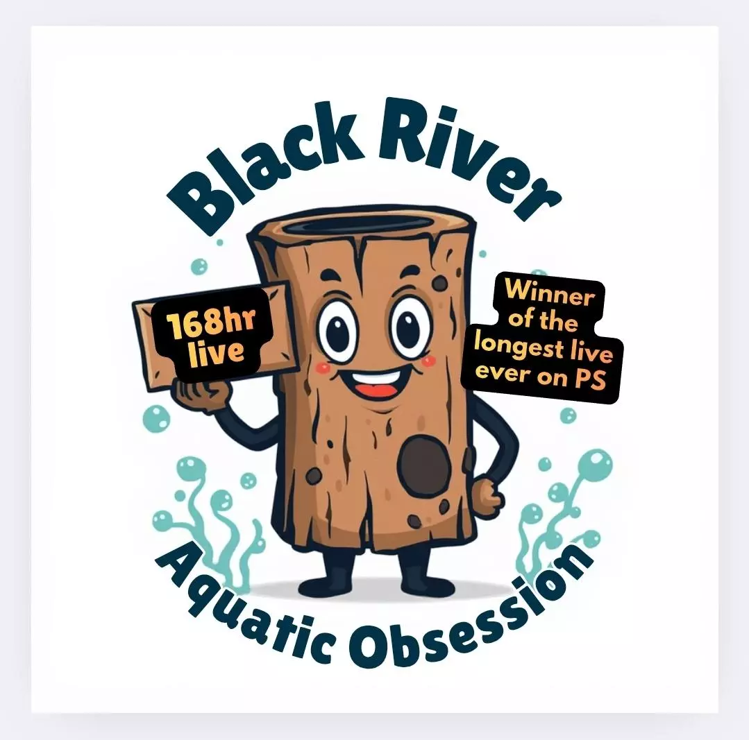 Cork bark, & 7 different types of woods 💚