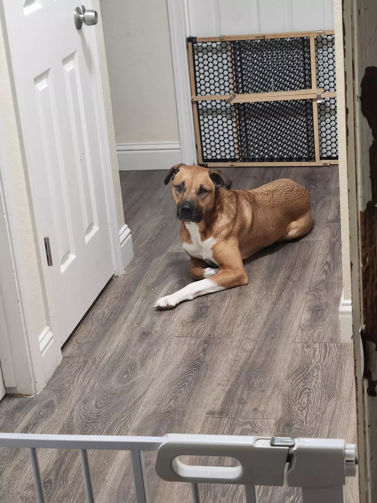 Word wall pick your number great items in play