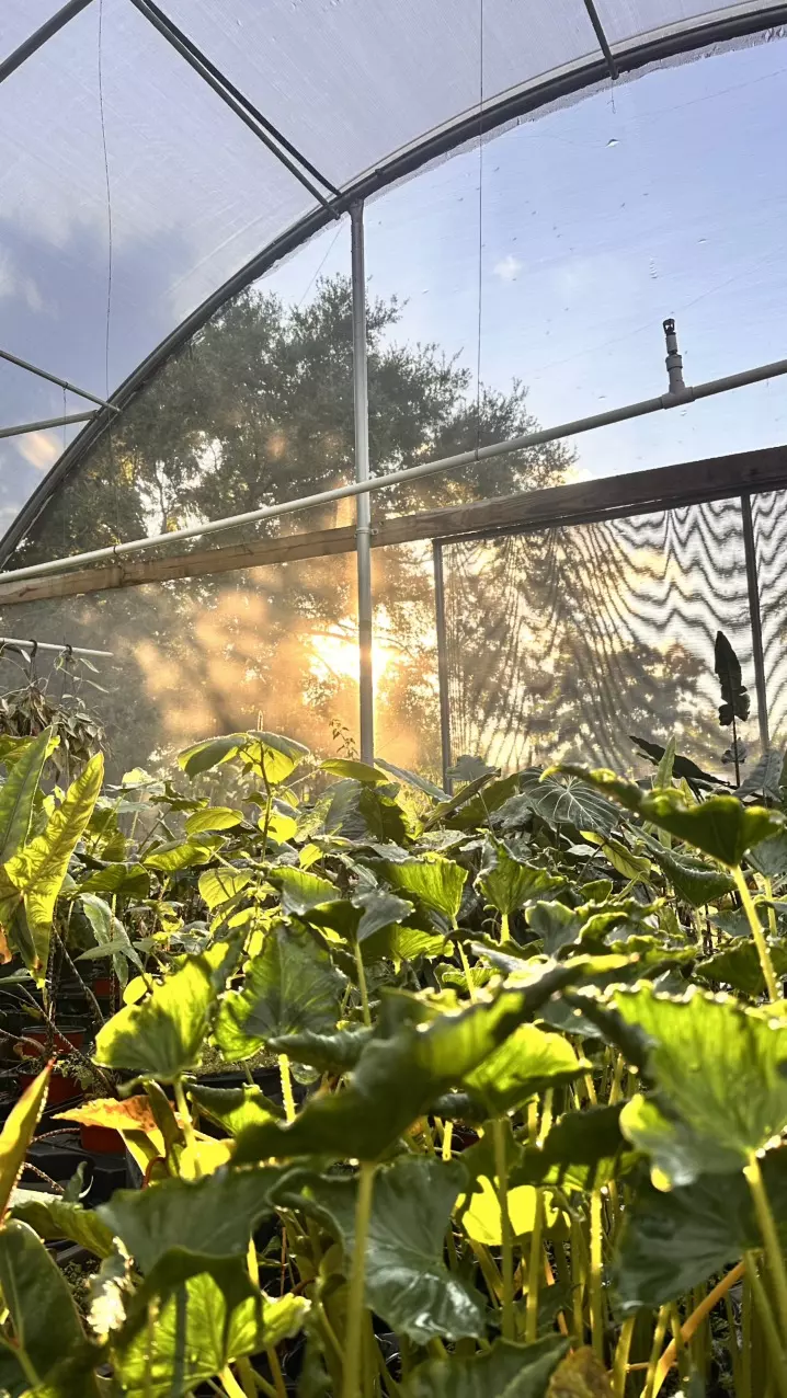 All nighter with Jose!!! Giveaways, Every 5 Minutes!!!!!🤯🫨