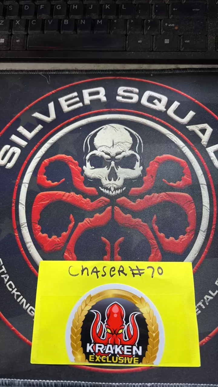 DTMYSILVERSQUAD Auction Night