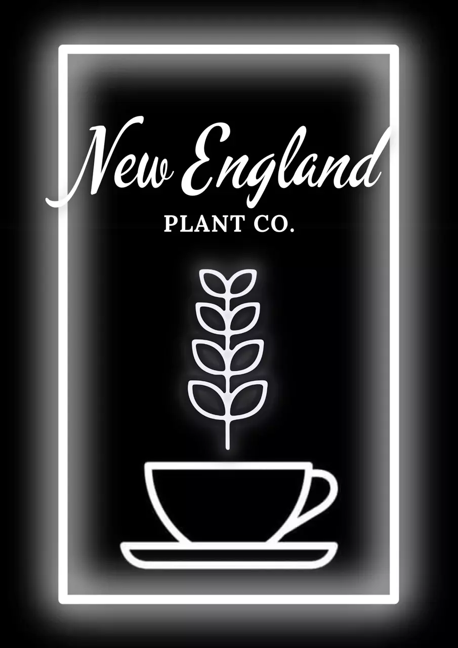 🌿☕ Morning Perk-Up Plant Sale! ☕🌿