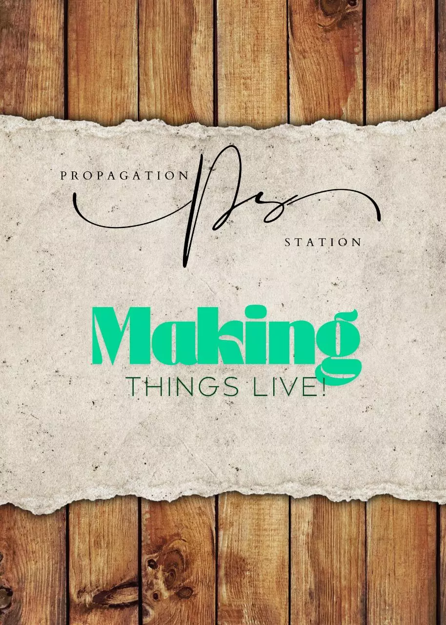 Make Things With Me!