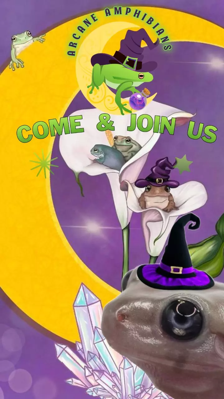 Arcane Amphibians is live! Thick booties Thursdays