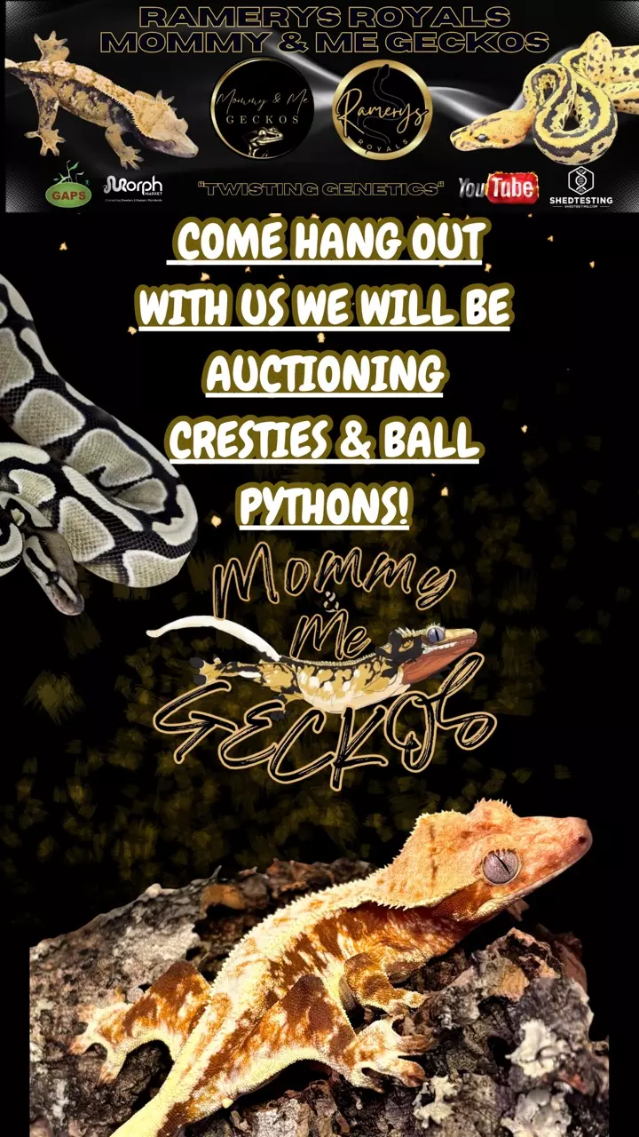 Come Hang Out! Showing off a few of our animals!