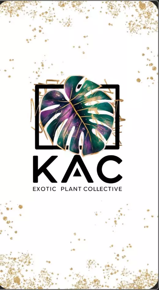 $5 starts, clearing out commons