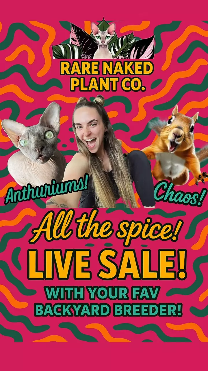 Congrats on making it thru the week! TIME TO BUY PLANTS!