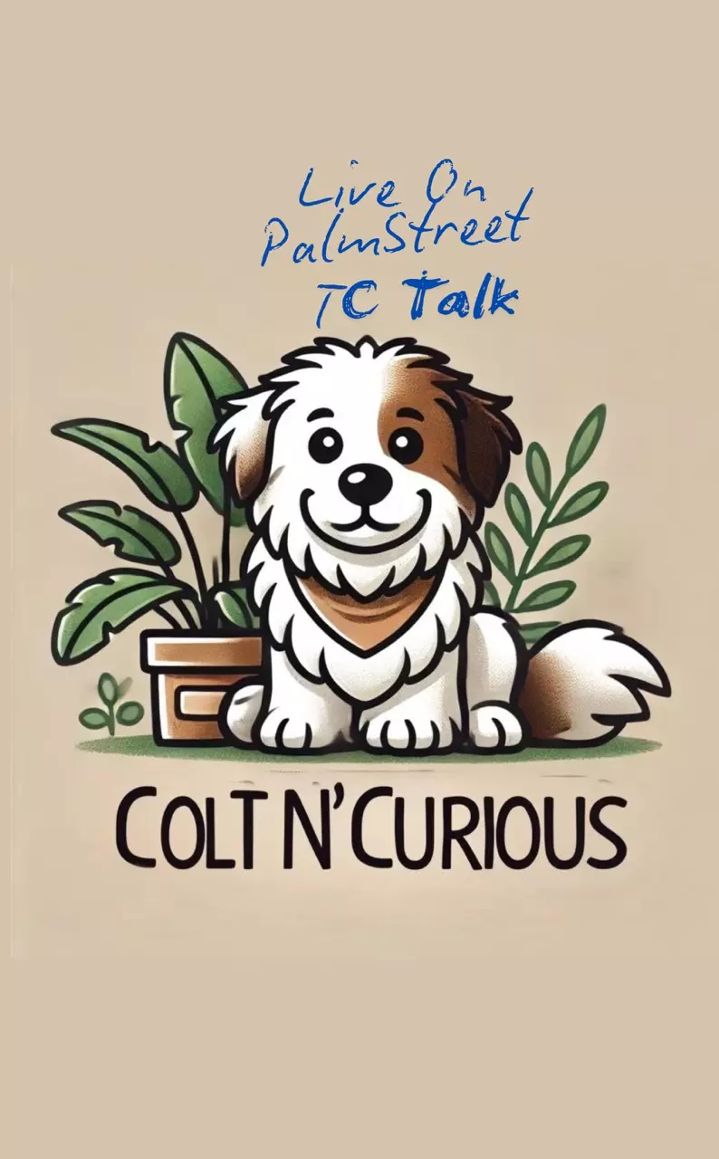 PS After Dark: Let's Talk How to Deflask TCs or not…