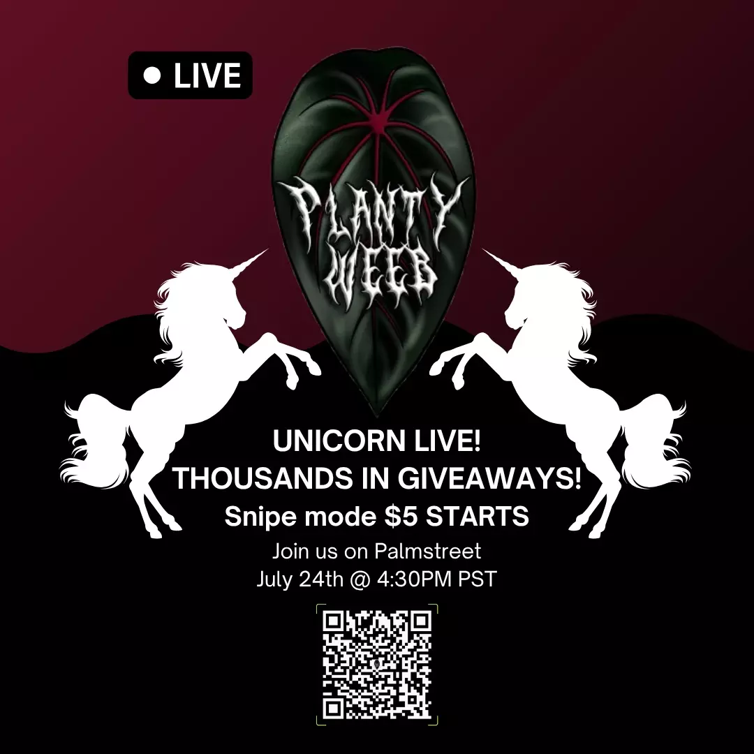 🦄 UNICORN LIVE 🦄 Weebs Biggest Givvys EVER! NEW RELEASES!