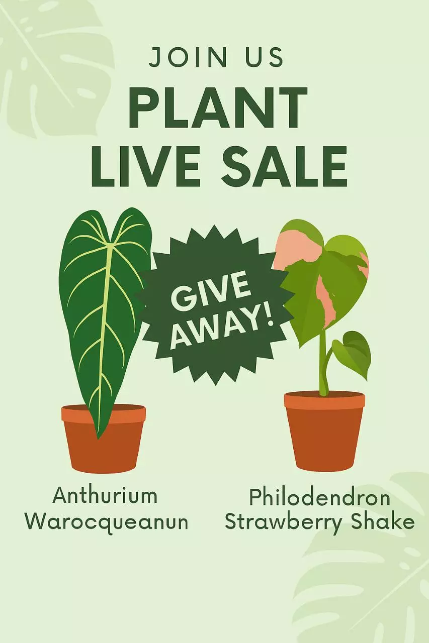 It's a plant sale with good vibes!!! 🪴