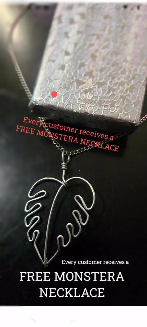 FREE MONSTERA NECKLACE WITH PURCHASE