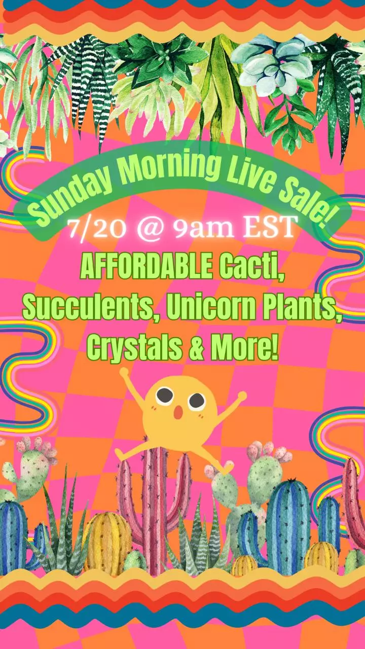 🌵 Sunday Morning Sale! 🌵