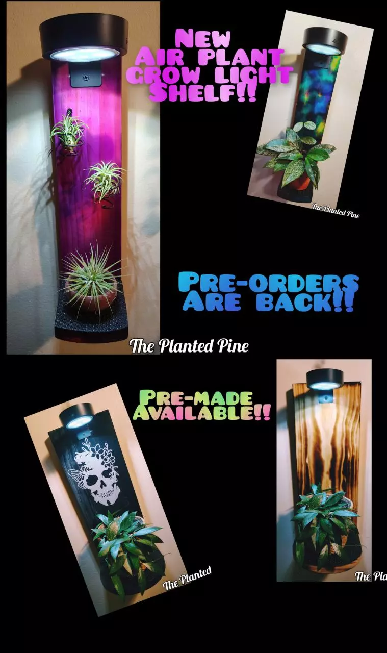 New Hangers & Come Backs!! Hit that Bell & join the Fun!