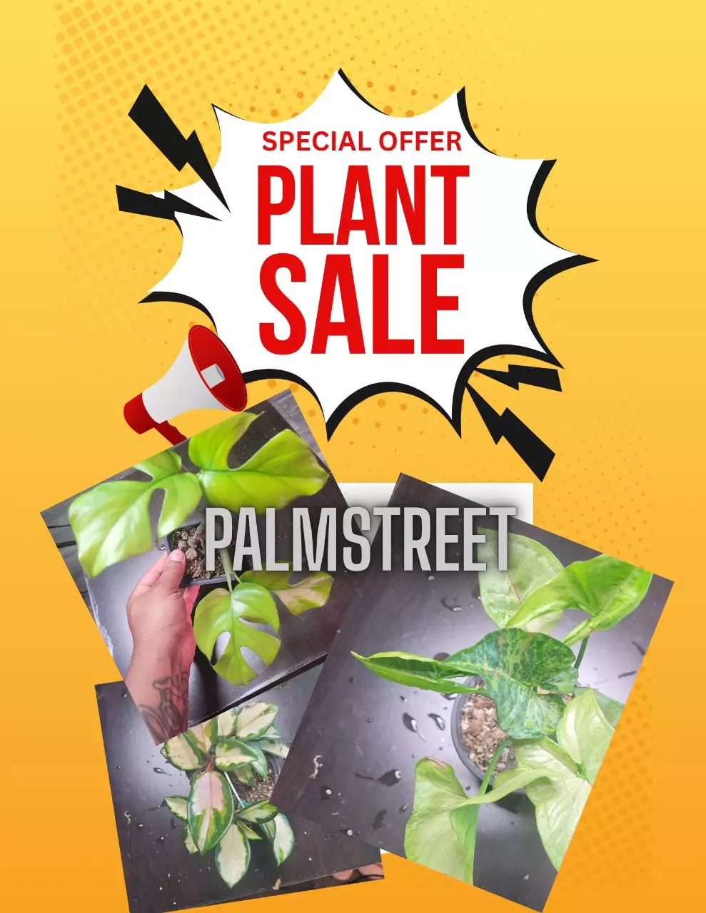 Plants plants plants!