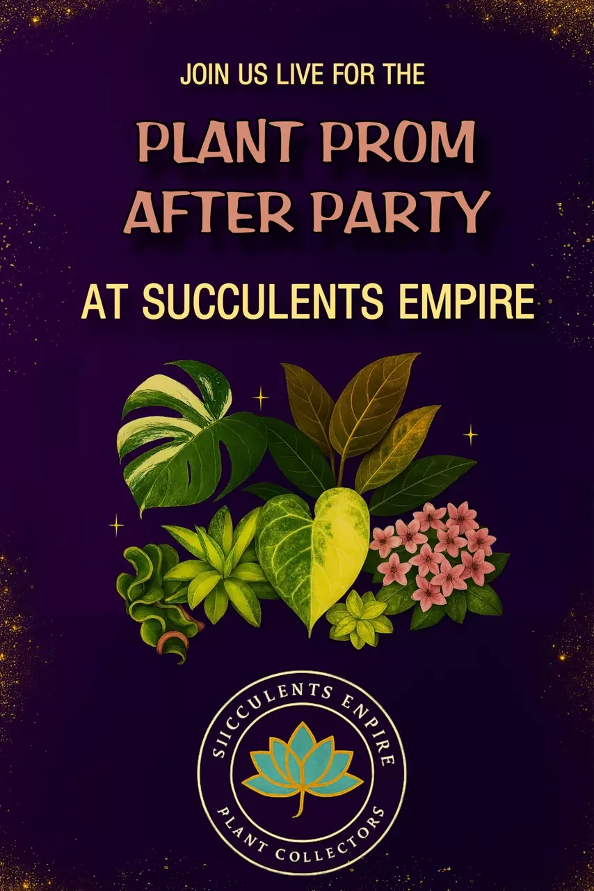 Beautiful plants 🥰‼️🦄Plant Prom Party!