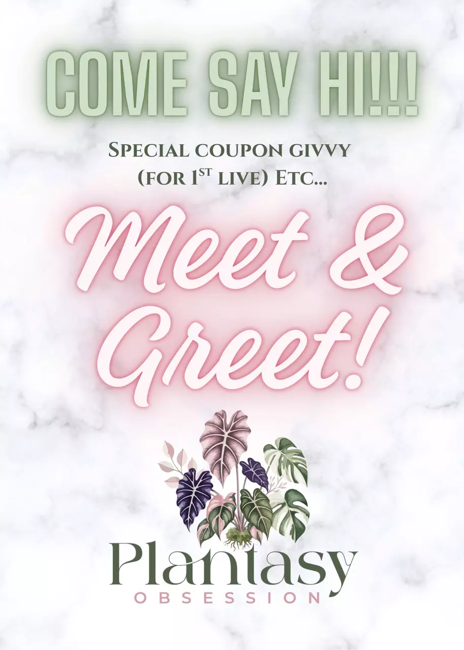 💞💞Small sale while we meet 💞💞