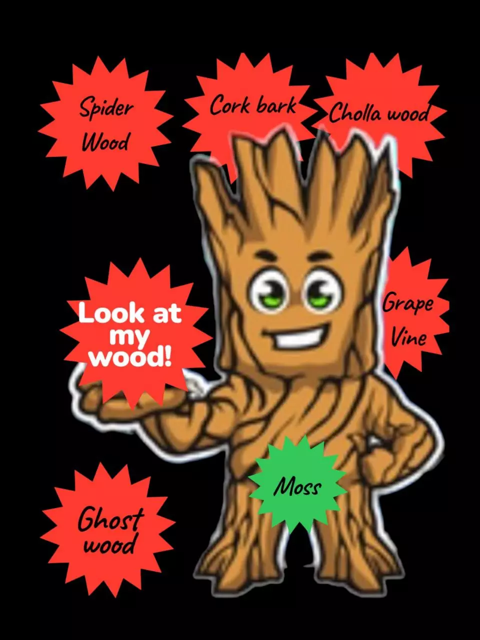 Cork Bark, Spider, Ghost & Cholla, Grape wood, vines & flats