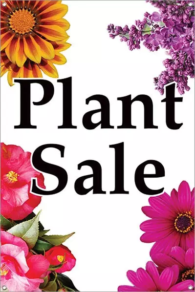 Succulent Sale! $1 Starts.
