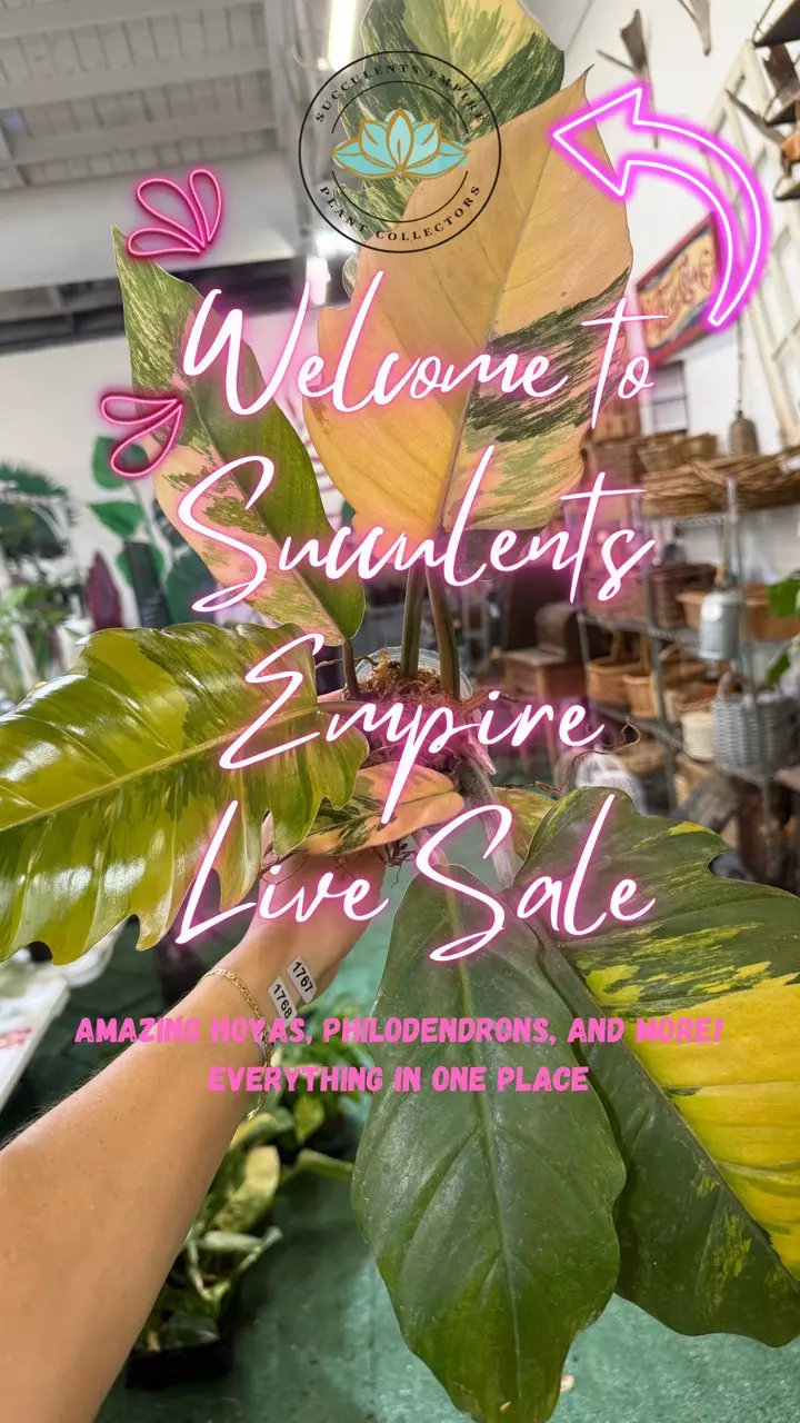 Beautiful plants for amazing princes 💚💚🥰