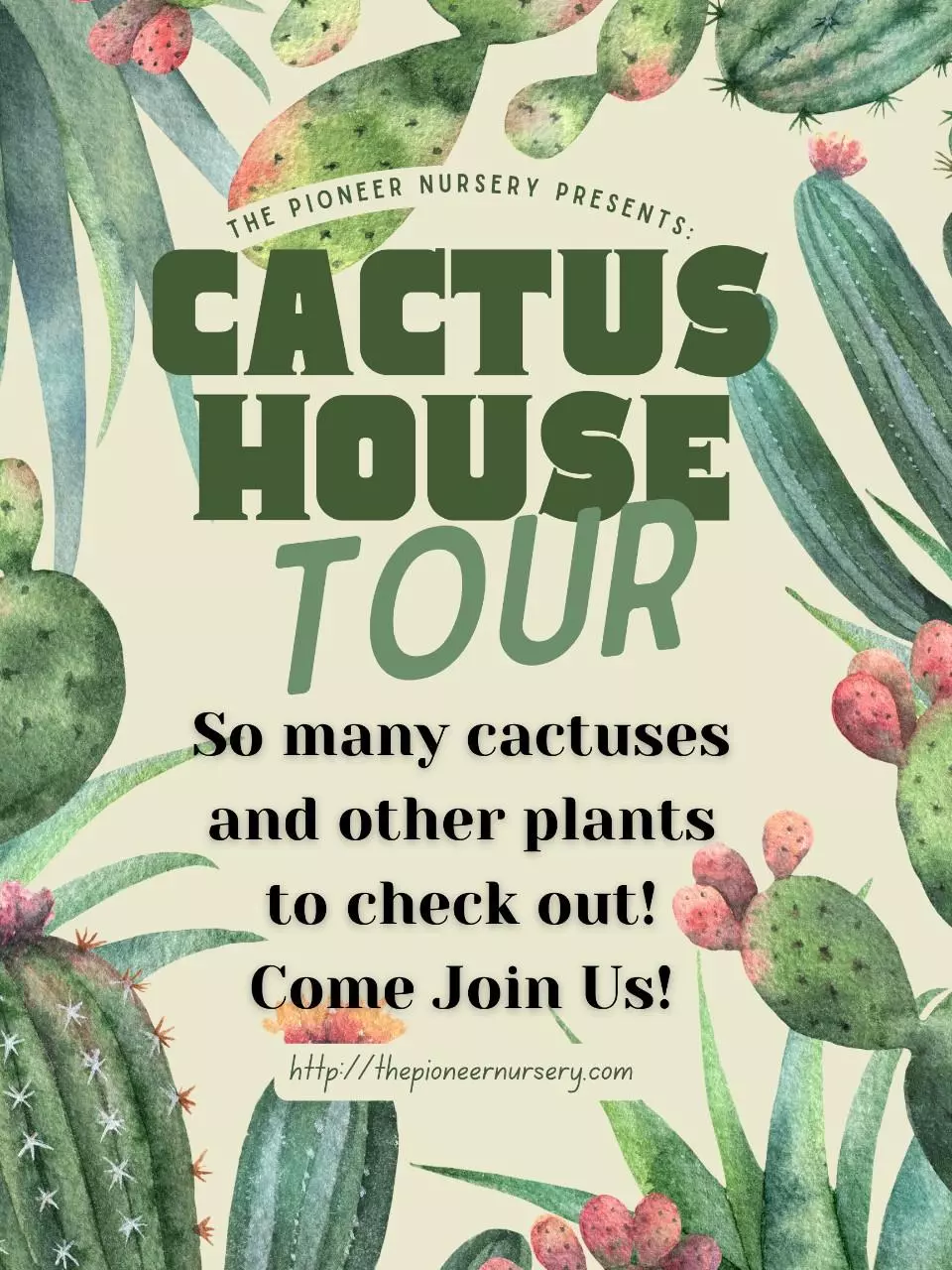 Cactus House Tour