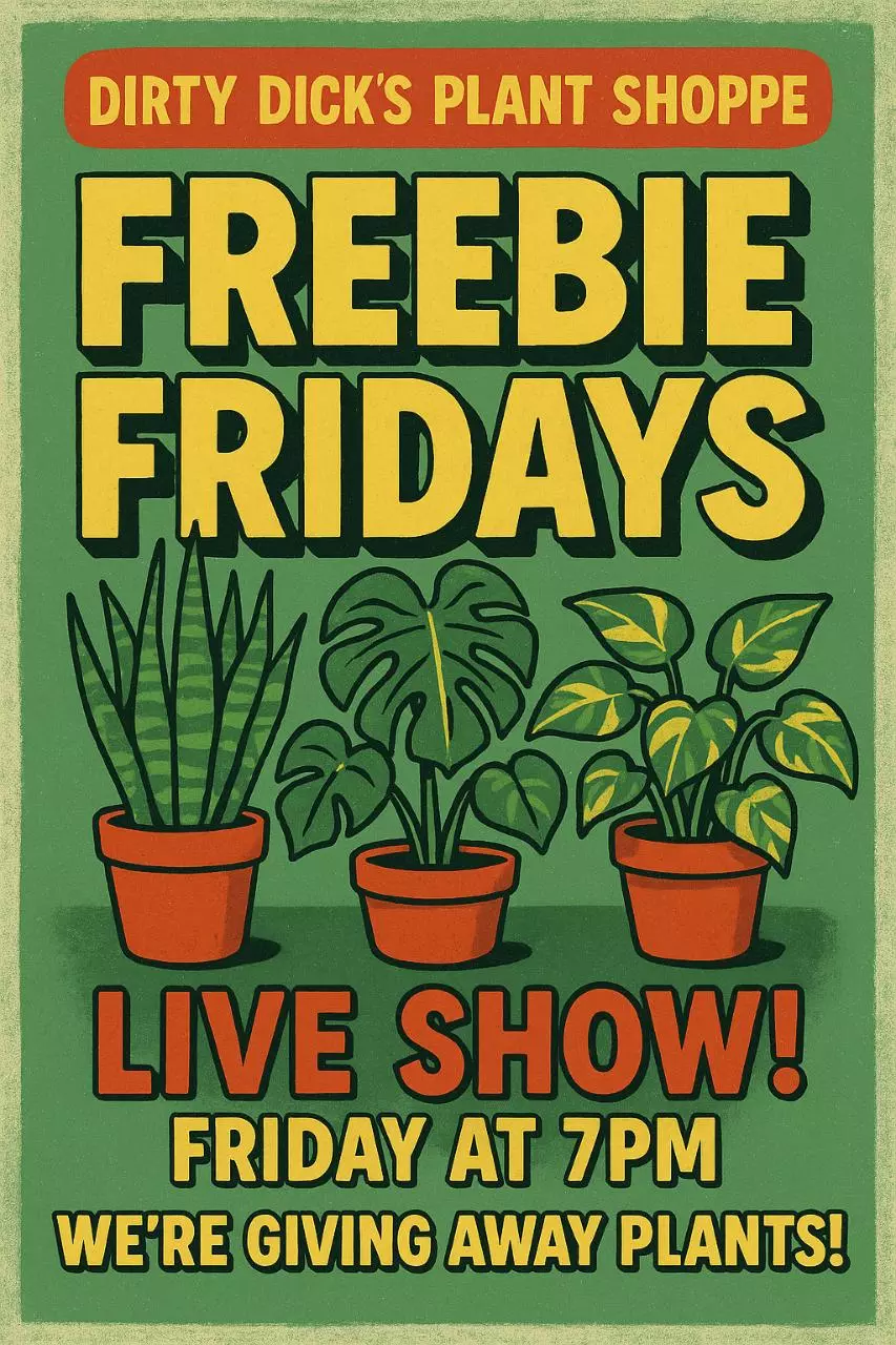 Buy a plant, get one free. NO DUPLICATES!, image size:853x1280