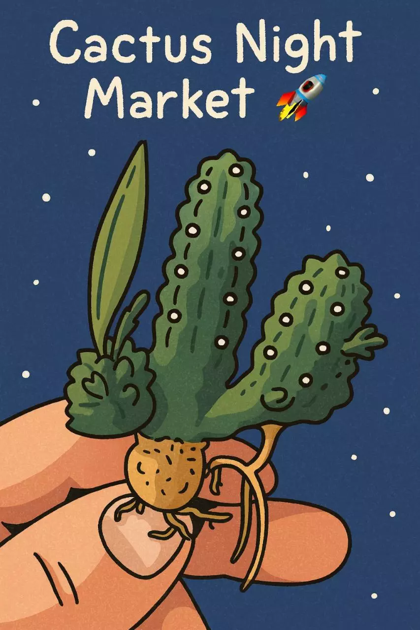 Cactus Night Market 🎉 🚀
