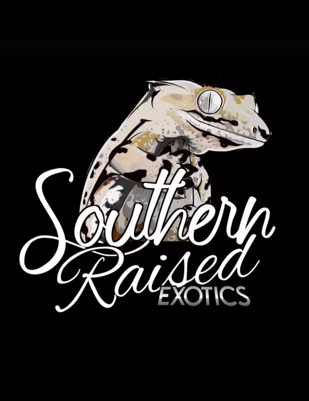 Coffee and Geckos. Sunday morning hangout and auction