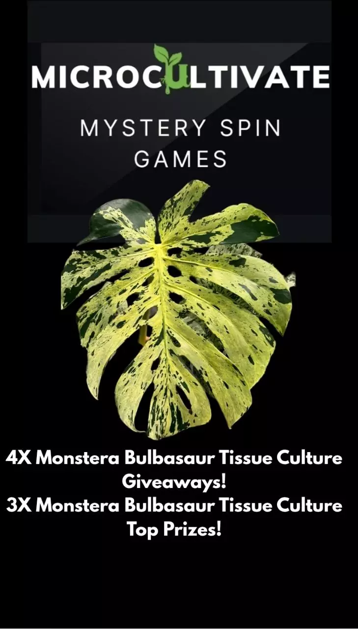 🔥 🔥 Rare Tissue Cultures