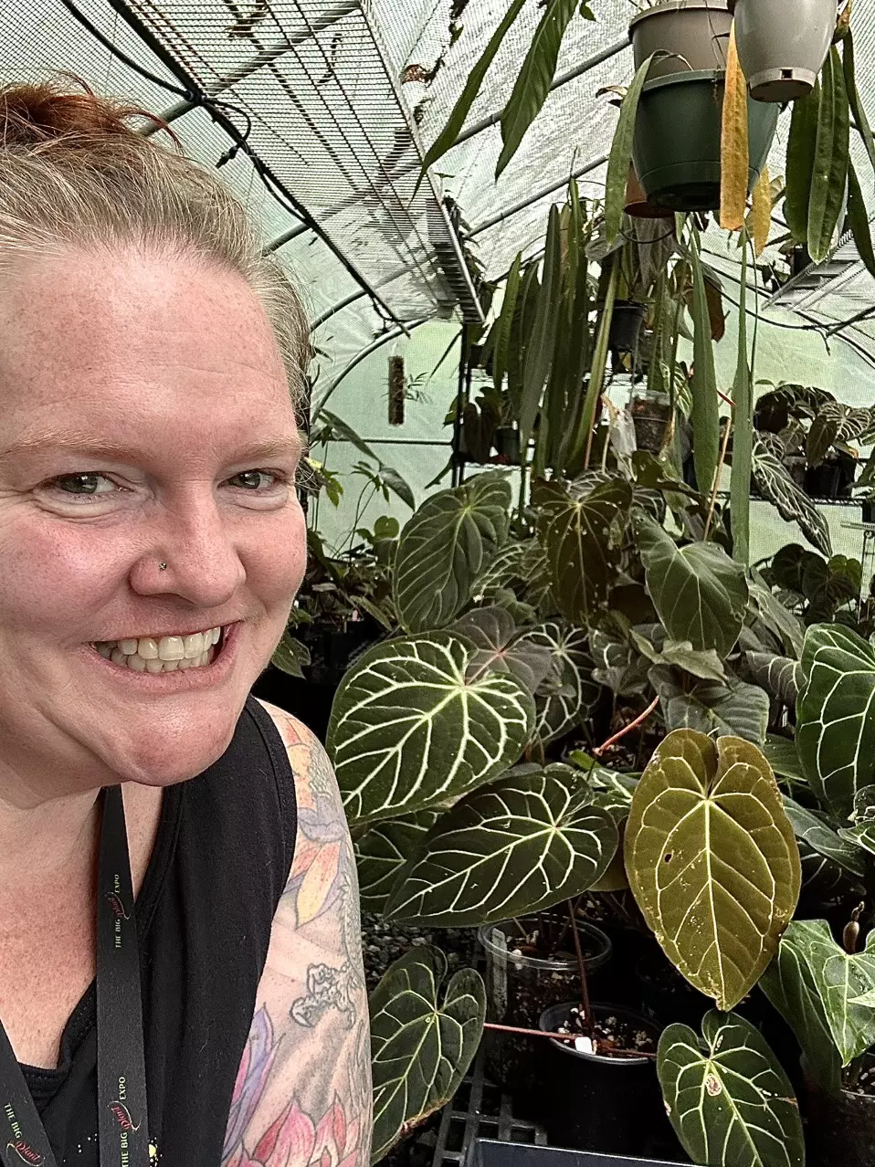Anthurium of course!