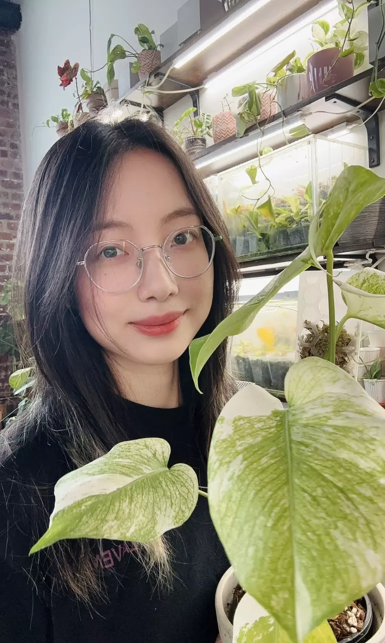 Free Giveaways! Alocasia, Philodendron, Monstera, and more✨
