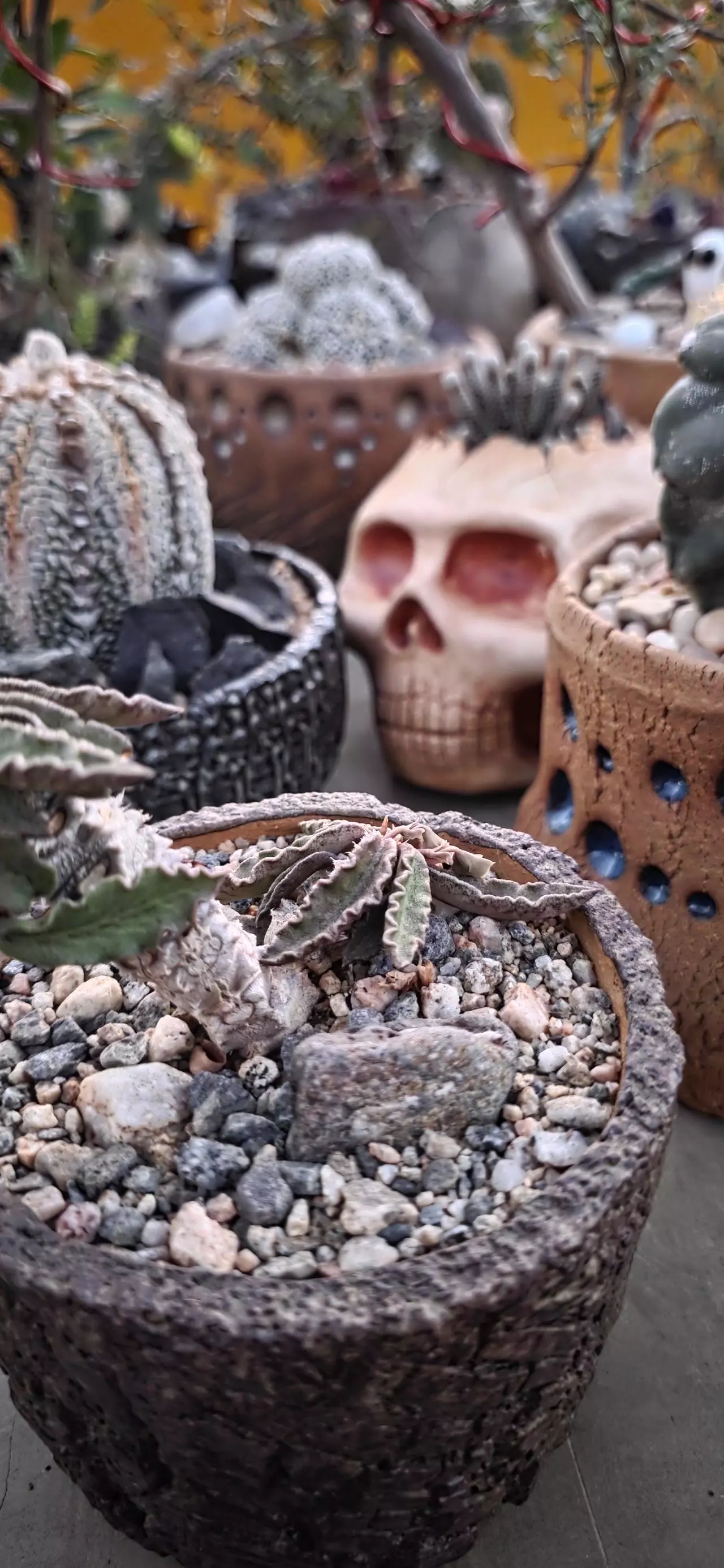 Handmade ceramic pots