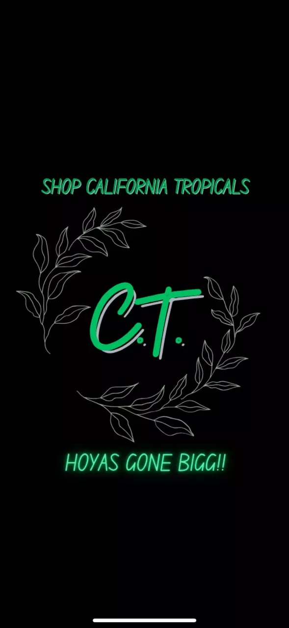 BIGG HOYAS & MORE !!🌱