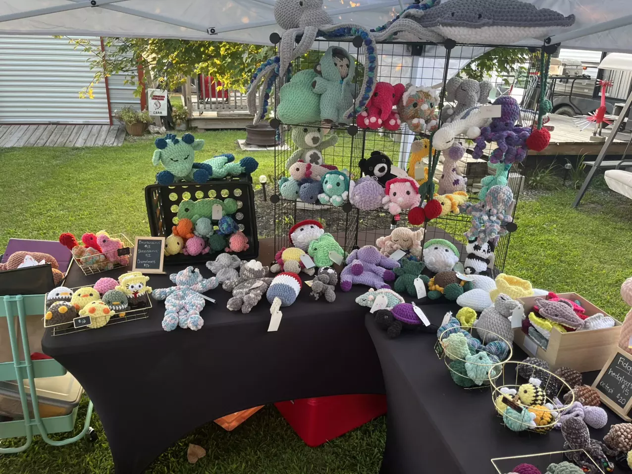 Crochet Plushies • Come Hang Out!