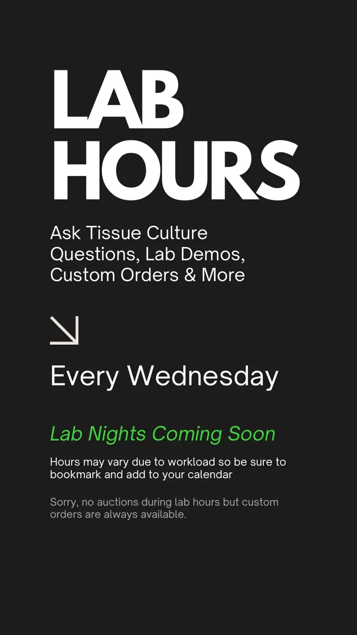 Lab Hours