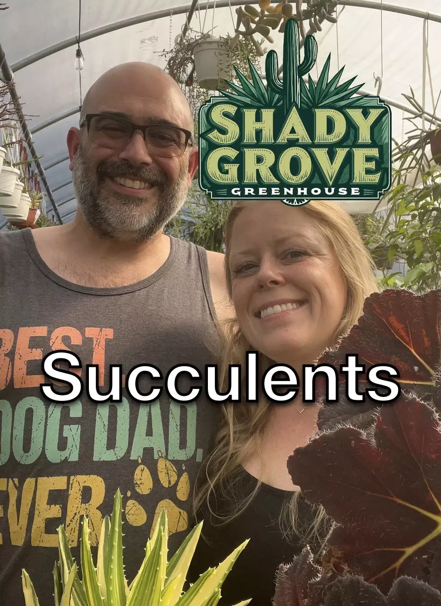 Early Bird Succulents & Cuttings