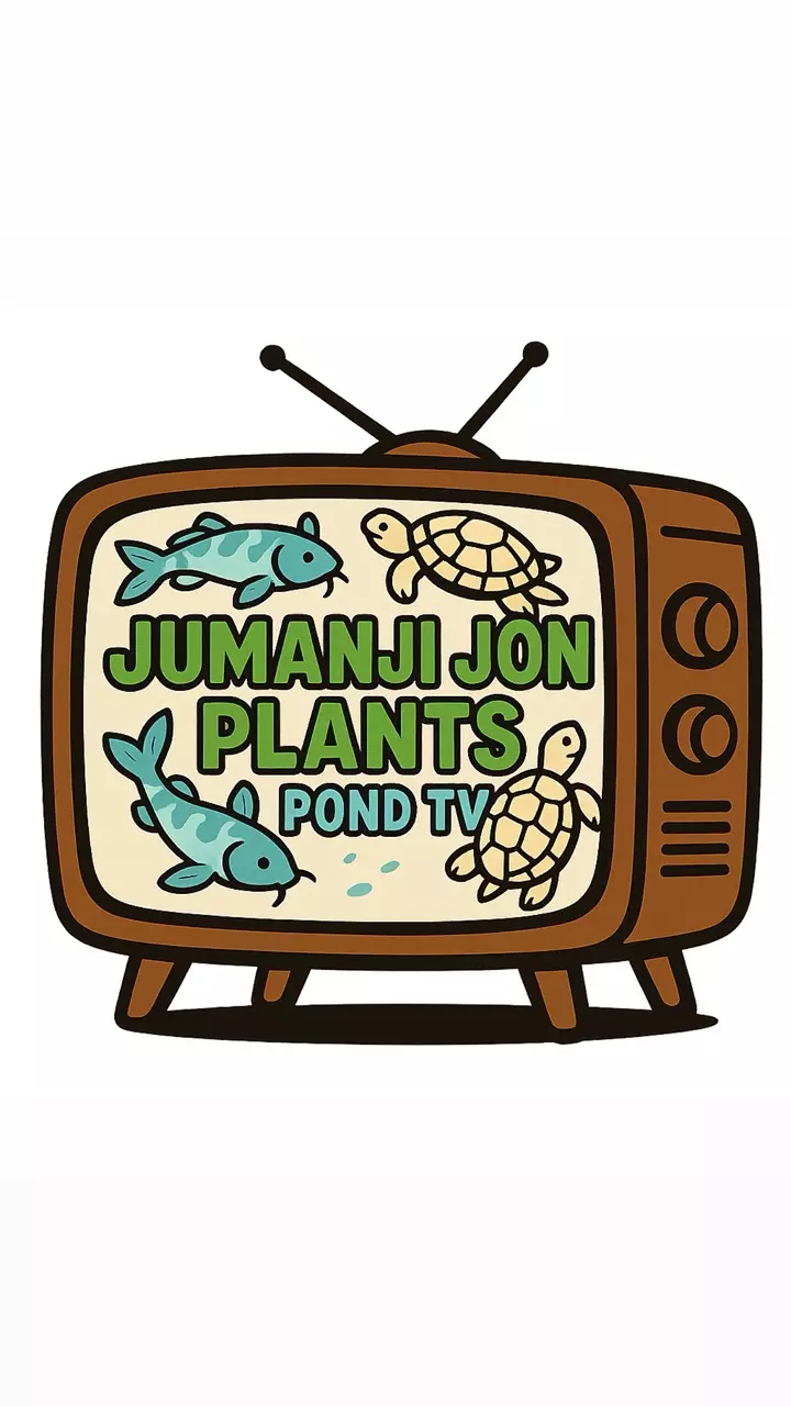Jumanji Pond Network