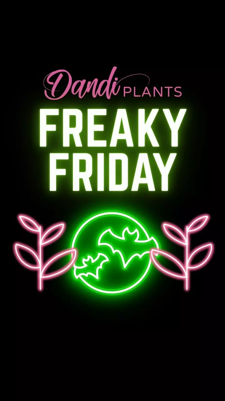 FREAKY RARE PLANT DEALS 👻💗