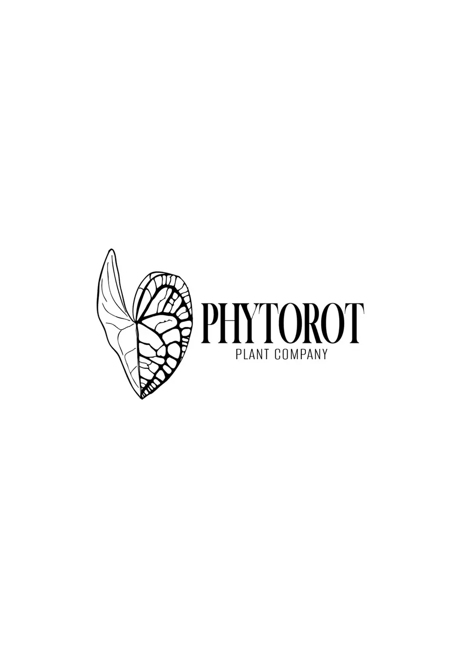 PhytoRot Friday Plant Sale