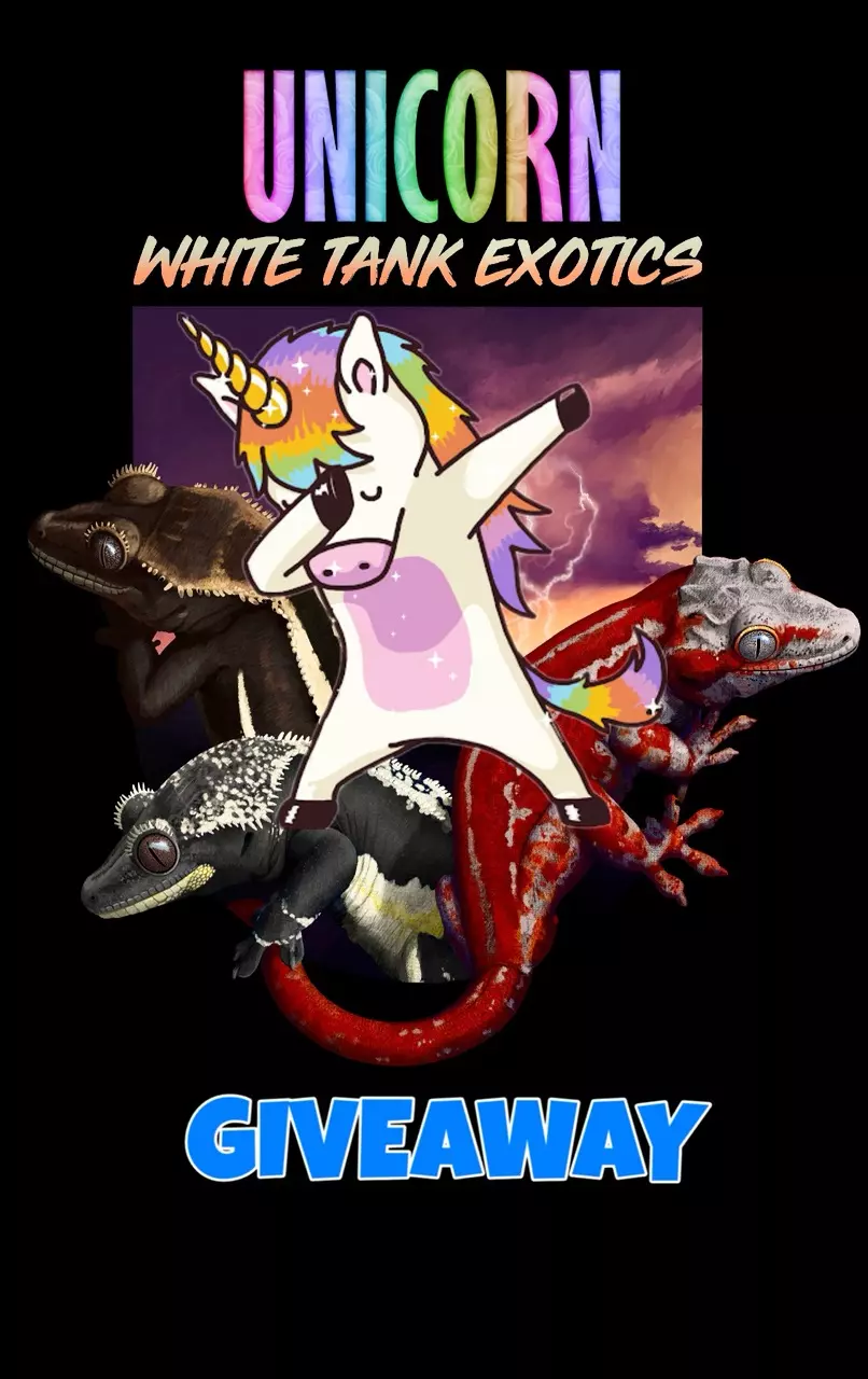 🚨🦄UNICORN GIVEAWAY & AUCTION $1 STARTS🦄🚨