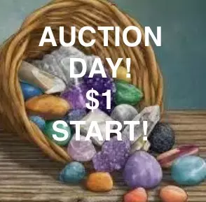 Friday flash auction day!  Free shipping!