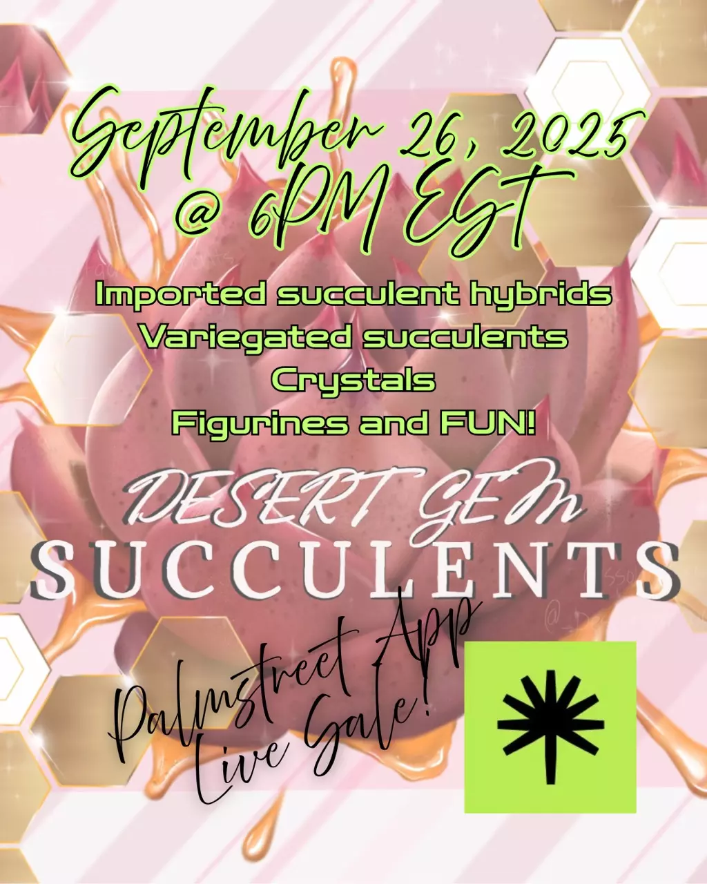 Succulents, Crystals and FUN! 🙂‍↔️