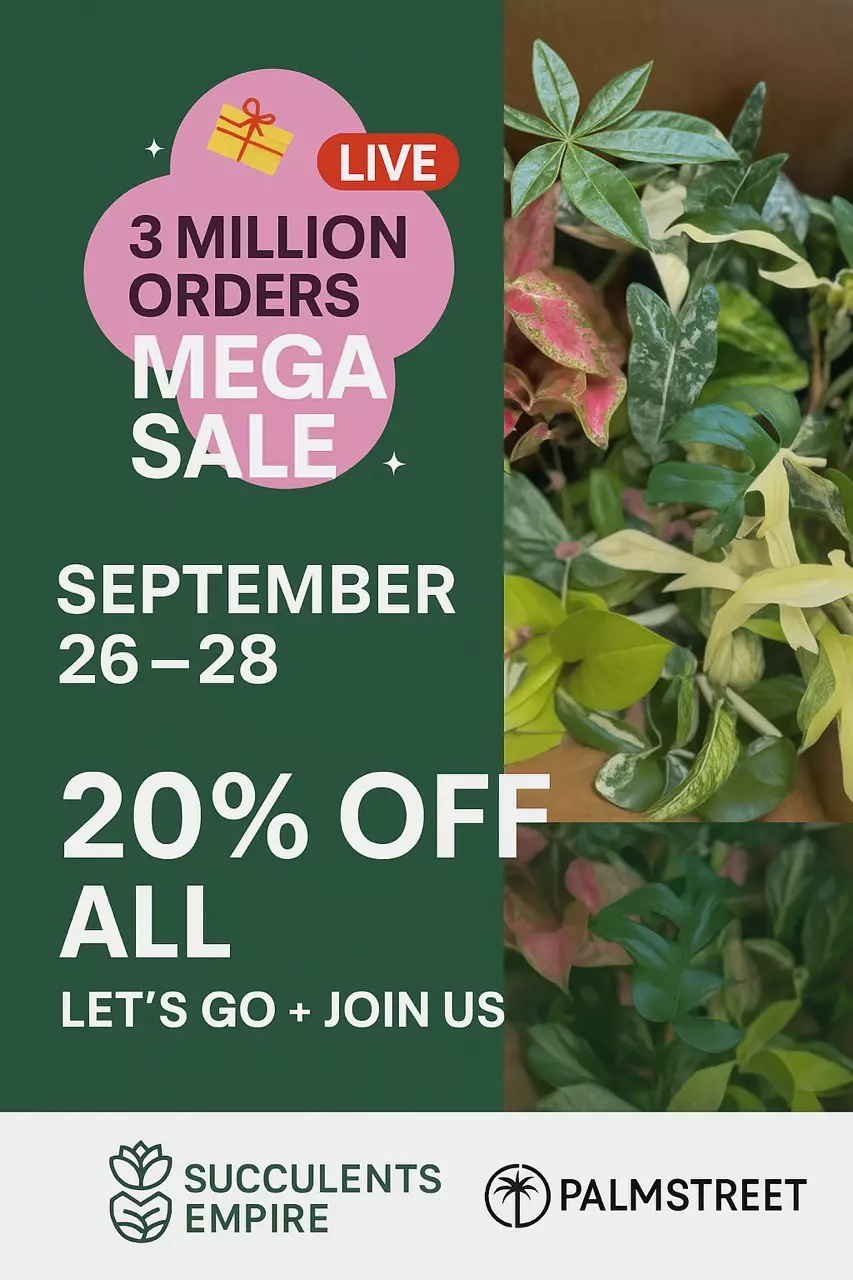 Beautiful Plants!!! Live Sale 🥰