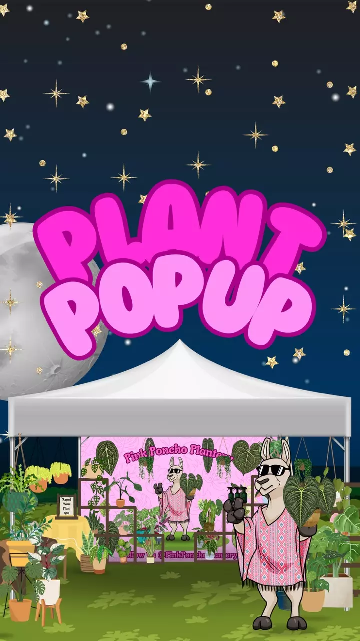 DRINKIPOOS & PLANTS!!!!