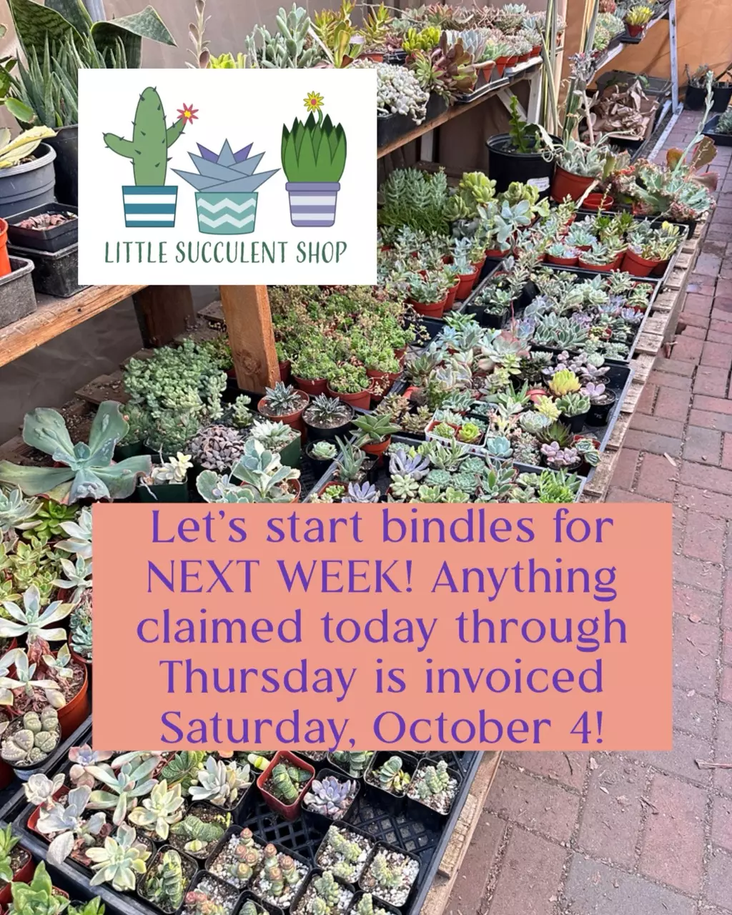 Let’s start bindles for NEXT WEEK! Anything claimed today th