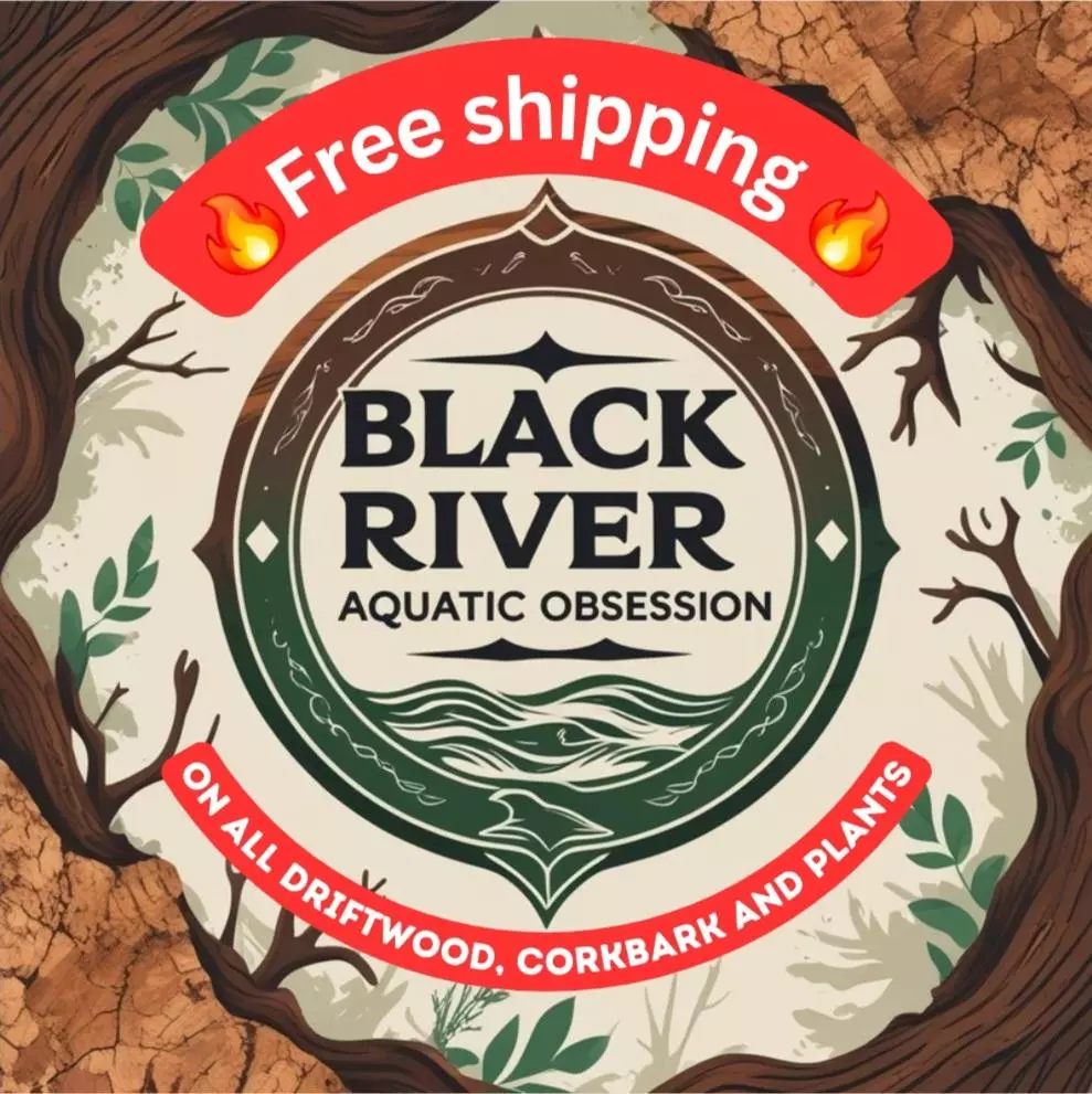 1st live in Aquatics! 24hrs free shipping