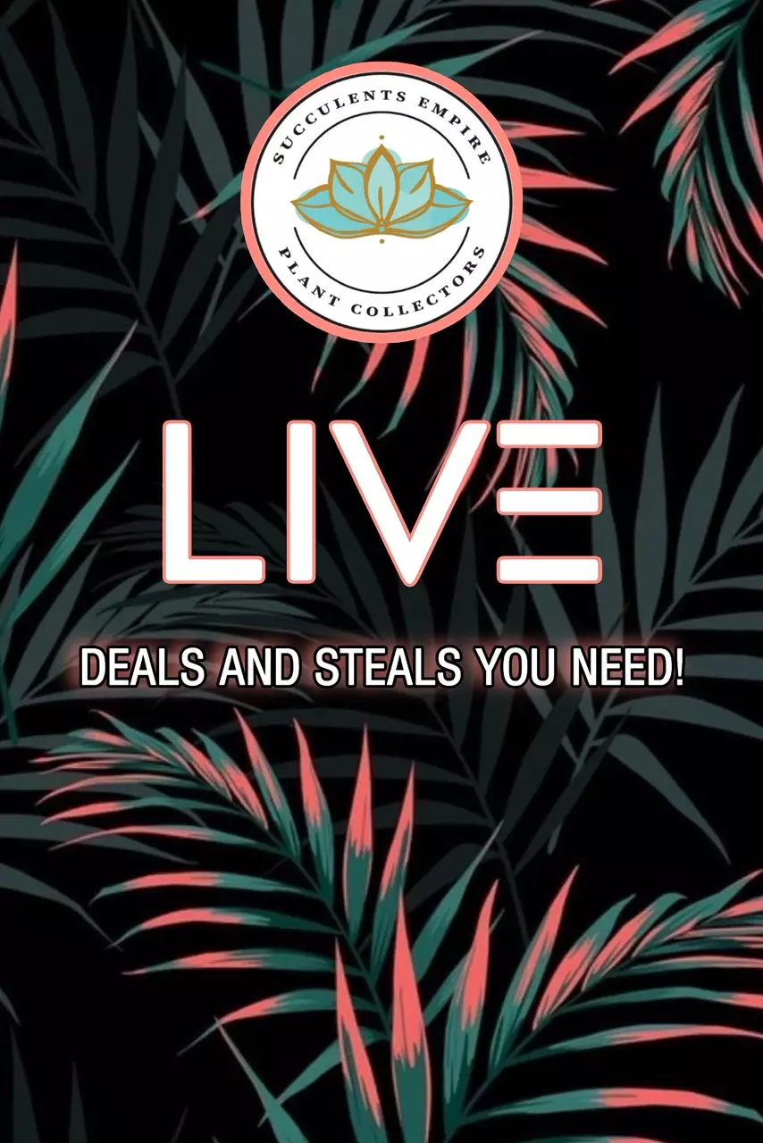 Beautiful Plants!!! Live Sale 🥰
